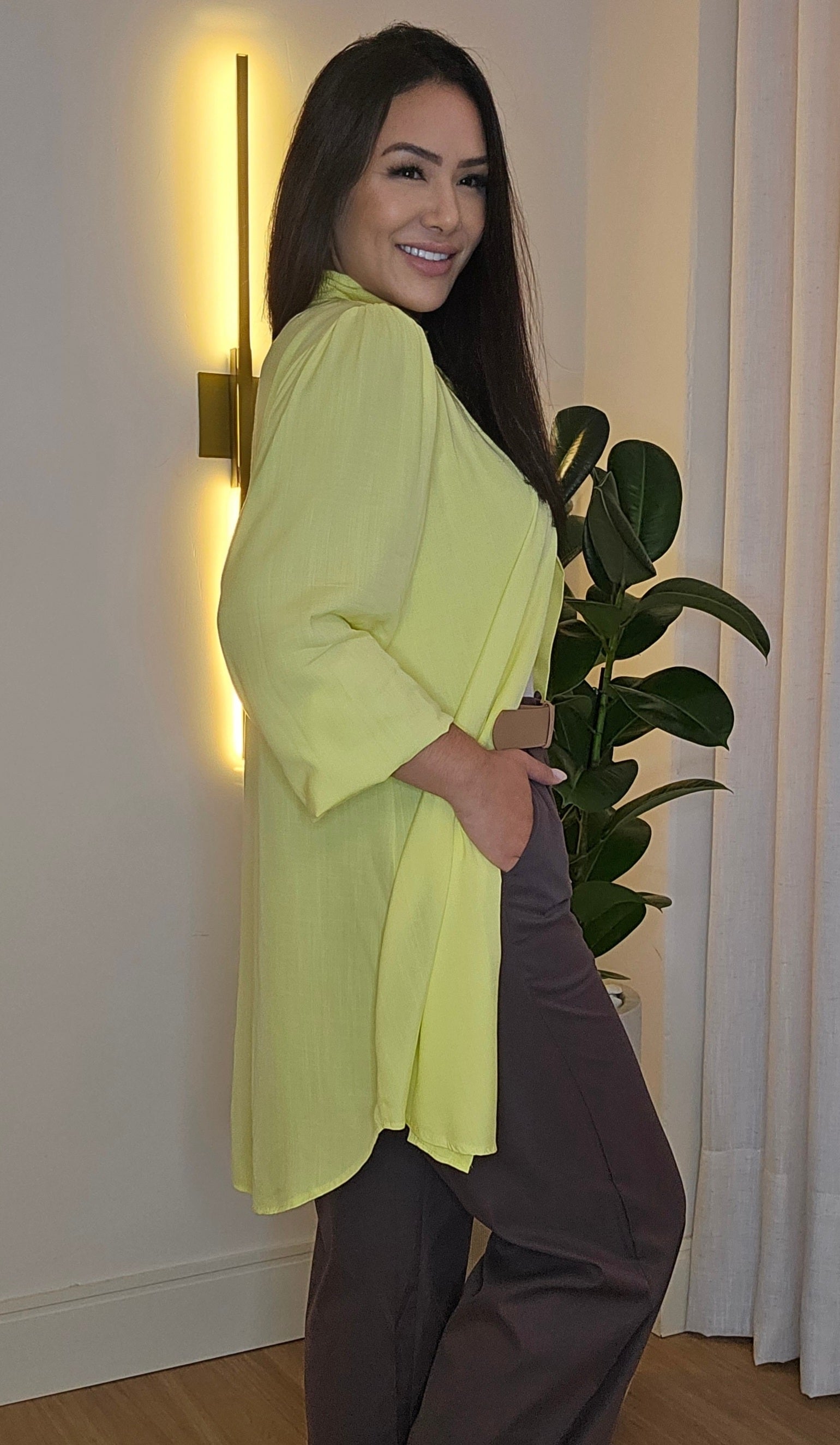 Chemise em cores variadas